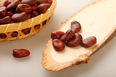 像素风摔角RPG《传奇摔角手》官宣登陆全平台